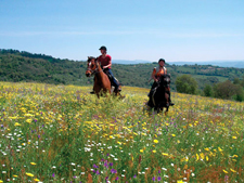 Italy-Tuscany-Relaxed Tuscan Ride in Maremma